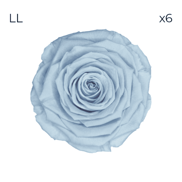 Róże stabilizowane RoseAmor LL | 6 szt. | Blu 89