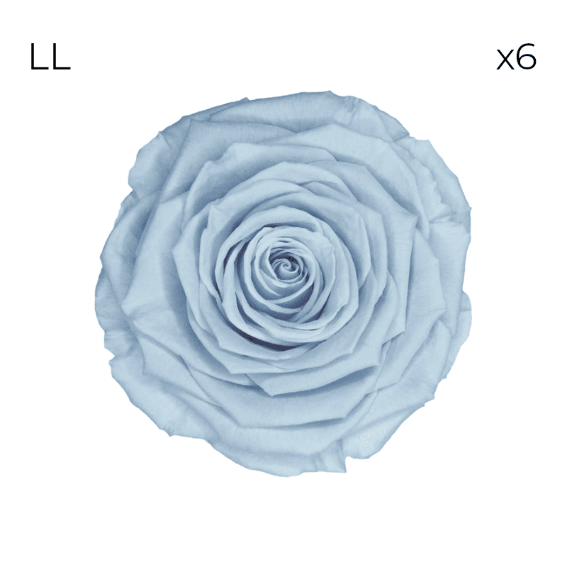 Róże stabilizowane RoseAmor LL | 6 szt. | Blu 89