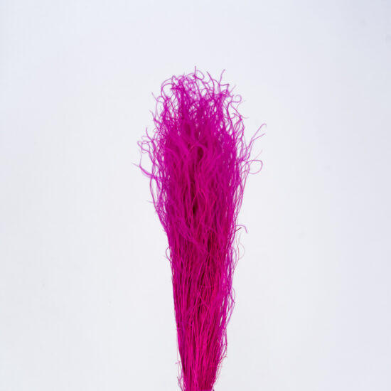 Suszona Trawa Stipa | 40 gr. | Fuksja