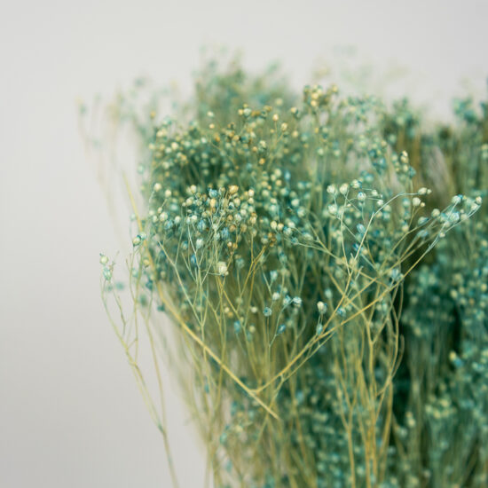 Suszony Broom Bloom | bukiet 100 gr. | Błękitny - obrazek 5