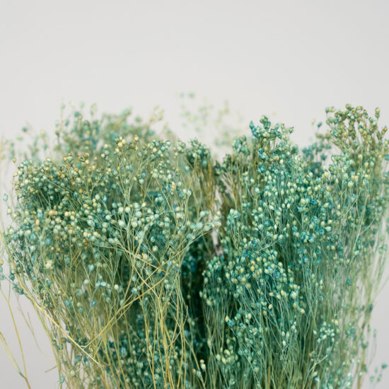 Suszony Broom Bloom | bukiet 100 gr. | Błękitny - obrazek 3