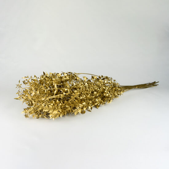 Ruskus stabilizowany | 150 gr. | Złoty | ok. 5-6 gałązek 60cm - obrazek 5