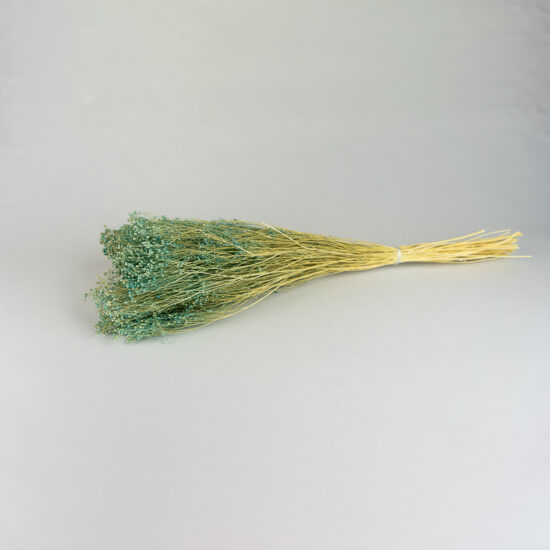Suszony Broom Bloom | bukiet 100 gr. | Błękitny - obrazek 2