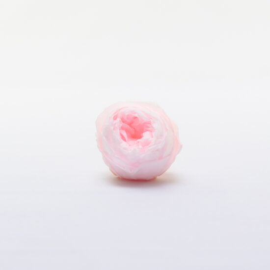 Piwonie stabilizowane RoseAmor | 6 szt. | Pin 89 - obrazek 2
