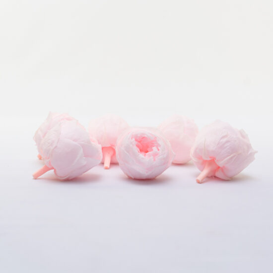 Piwonie stabilizowane RoseAmor | 6 szt. | Pin 89