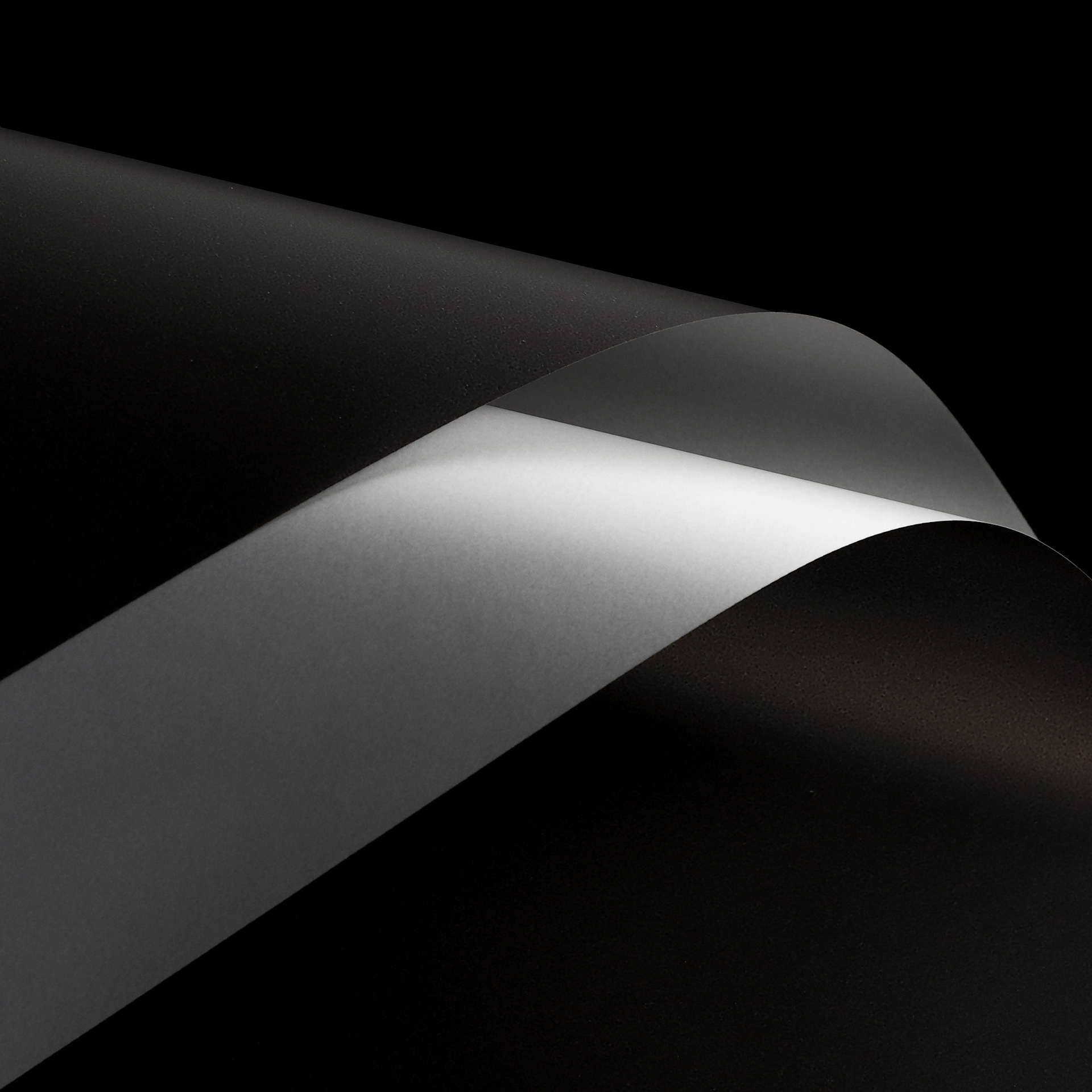 Folia florystyczna PREMIUM | 20 arkuszy | 58x58 cm | Kolor 0802