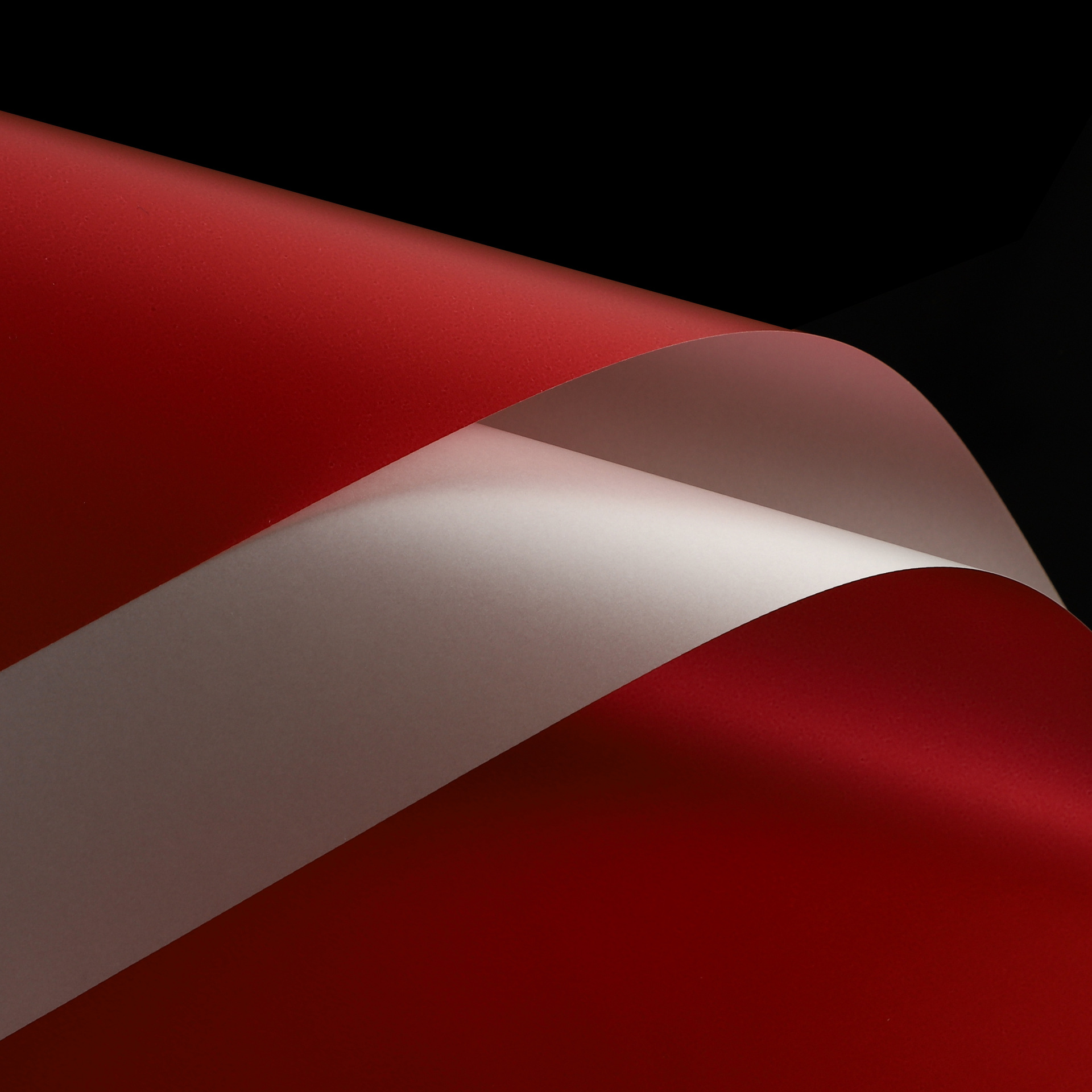 Folia florystyczna PREMIUM | 20 arkuszy | 58x58 cm | Kolor 0808