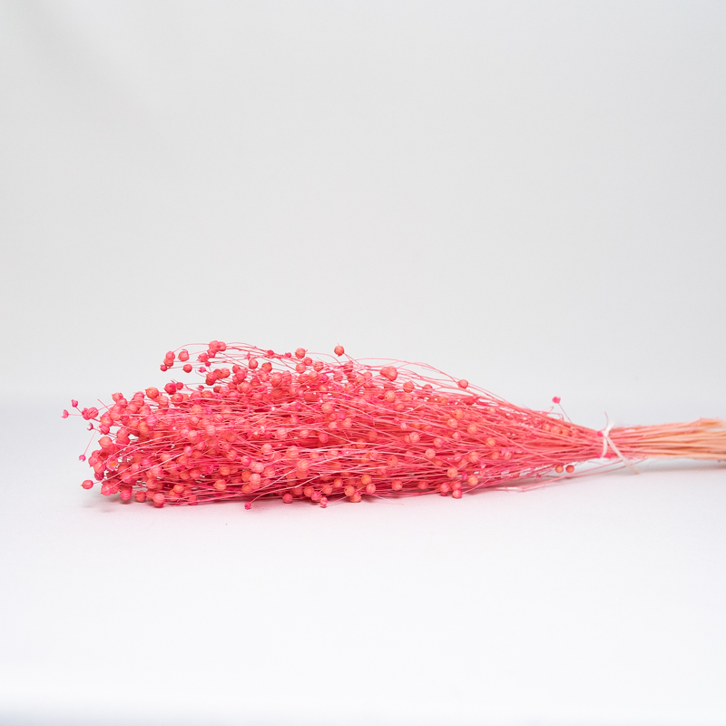 Suszony Len | 100 gr. | Różowy | ok. 40 gałązek - obrazek 2