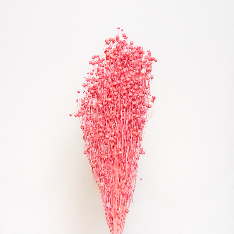 Suszony Len | 100 gr. | Różowy | ok. 40 gałązek - obrazek 3